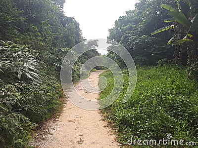 Hiking Track In Taman Neagara Malaysia Stock Photo