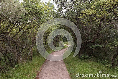 Hiking trail to the Cascades near Mahai Stock Photo