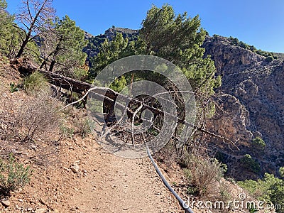 Hiking trail to Colgante bridge (Puente Colgante El Saltillo) Stock Photo