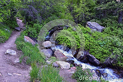 Hiking Trail to Lake Blanche forest and mountain. Wasatch Front Rocky Mountains, Twin Peaks Wilderness, Wasatch National Forest Stock Photo