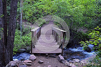 Hiking Trail to Lake Blanche forest and mountain. Wasatch Front Rocky Mountains, Twin Peaks Wilderness, Wasatch National Forest Stock Photo