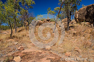 Hiking trail in the Undara Volcanic National Park, Australia Stock Photo