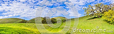 Hiking trail through the verdant hills of south San Francisco bay area, San Jose, California Stock Photo