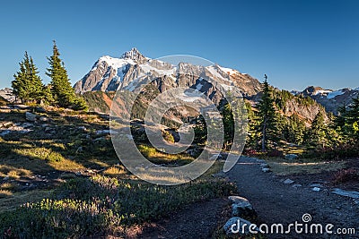 Hiking trail with views of Mount Shuksan, Washington State Stock Photo