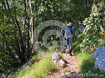 Hiking trails, forest paths and bicycle roads in the Ucka Nature Park, Croatia - Planinarske staze i Å¡umski putev Editorial Stock Photo