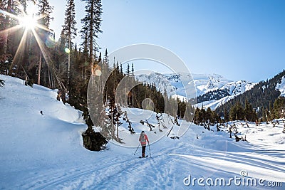 Skier hiking toward the Seven Steps of Paradise run down Young`s Peak. The Asulkan Valley is lit by the morning sun around him Stock Photo
