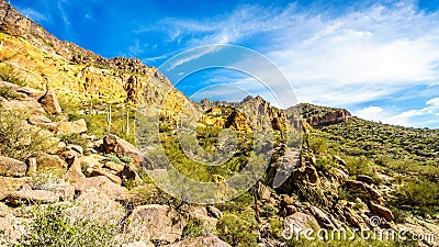 Hiking on the Wind Cave Trail of colorful Usery Mountain surrounded by Large Boulders, Saguaro and other Cacti Stock Photo