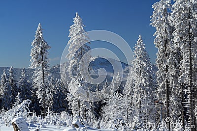 Hill Arber (Germany), Cloudes and trees, winter landscape in Å umava in Å½eleznÃ¡ Ruda, Czech republic Stock Photo