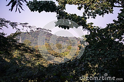 A hill captured from the far between a bunch of trees Stock Photo