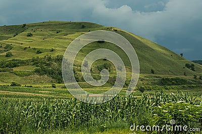 Hill Stock Photo