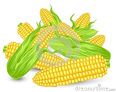 Hill Ears of ripe corn Cartoon Illustration