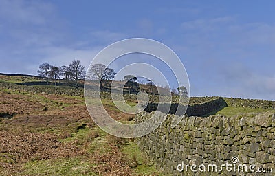 Drystone walls at Ilkley Moor in West Yorkshire, under a blue Sky. Stock Photo