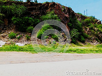 A hill with green life Stock Photo