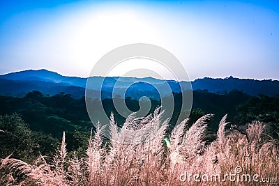 Hill Landscape Stock Photo