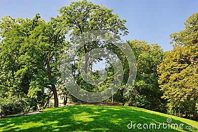 Hill And Lawn In The Summer Empty City Public Park Stock Photo