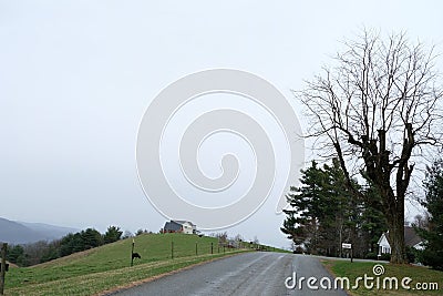 Hill side green meadow with beautiful background Stock Photo