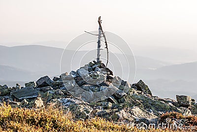 Hill summit with grass,blockfield and tree branch Stock Photo