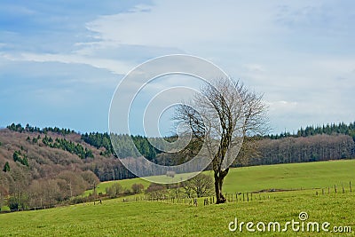 Hills of the Ardennes, with meadows and forest Stock Photo