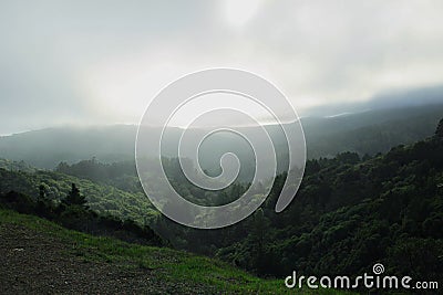 Foggy hills green forest sun behind mountains Stock Photo