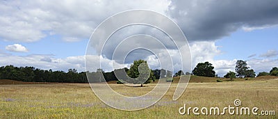 A very old and special landscape Stock Photo