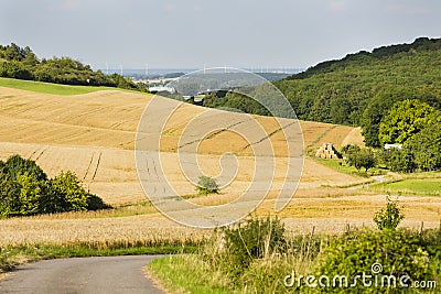 Hills And Golden Fields Stock Photo