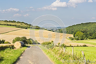 Hills And Golden Fields Stock Photo