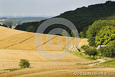 Hills And Golden Fields Stock Photo