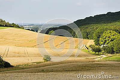 Hills And Golden Fields Stock Photo