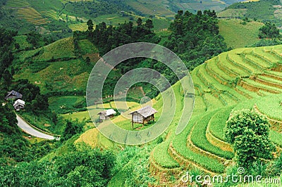 Hills of rice terraces and stilt house Stock Photo