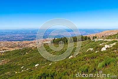 Hills with stone in mountain region in Portugal. Burnt trees after a fire in the mountains. Ecological catastrophe Stock Photo