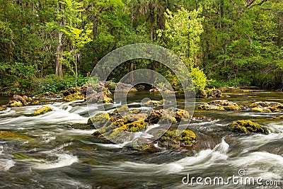 Hillsborough River Rapids in Spring Runoff Stock Photo