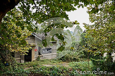 Hillside abandoned 1960s` dwelling buildings in woods Editorial Stock Photo