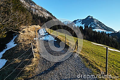 Hillside hiking trail in springtime Stock Photo