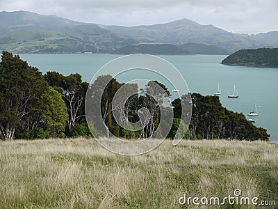 New Zealand: Akaroa landscape with harbour view Stock Photo