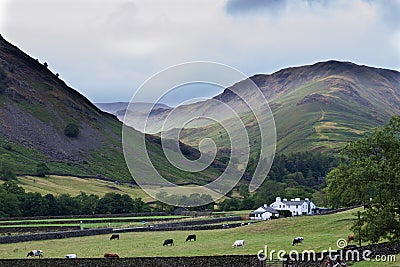 Hillside view in the English Lake District Editorial Stock Photo