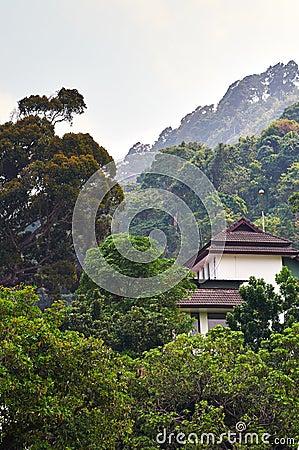 Hillside view with luxury villa among trees Stock Photo