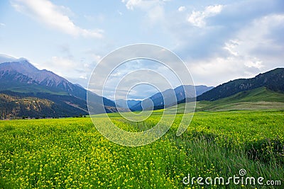 The hillside view of the Qilian mountains. Stock Photo