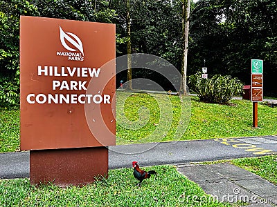 Hillview park connector signpost Editorial Stock Photo