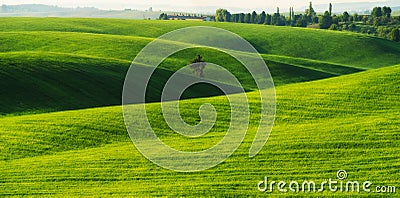 Hilly field. spring hills Stock Photo