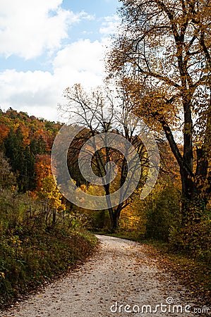 A gravel path in a hilly forest Stock Photo
