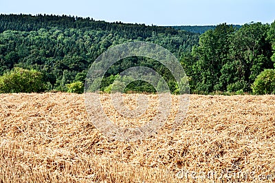 View over harvested field to hilly forest Stock Photo