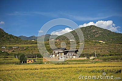 Hilly landscape, Paro, Bhutan Stock Photo