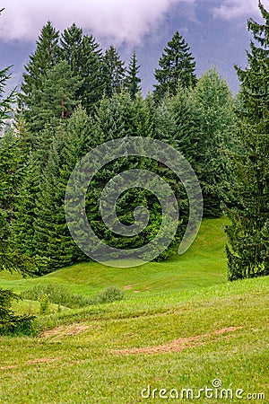 Hilly meadow in the alps near Reutte, Austria Stock Photo