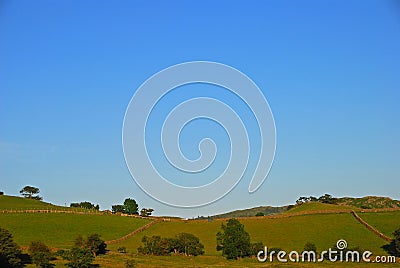 Hilly Silky Grassland with Trees and Gates in Lake District Stock Photo