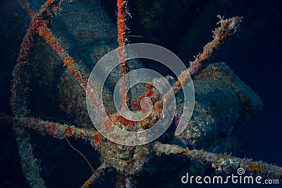 Hilma shipwreck, Bonaire Stock Photo