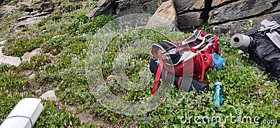 Himachal, India - July 10th, 2022 : Man with trekking bag in the mountain, summer hike with backpacks, himalayan view Stock Photo