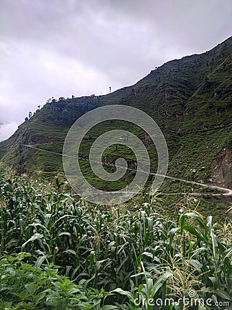 Himachal Pradesh beautifu Raid and moad raund Stock Photo