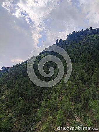 Himachal Pradesh heel height village palnts Stock Photo