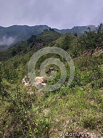 Himachal Pradesh heel height village gagla Stock Photo