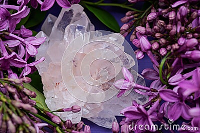 Himalayan Clear Quartz Clusters with Hematite inclusions surrounded by purple lilac flower. Stock Photo